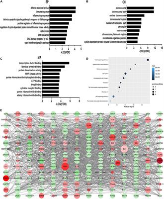 Decitabine Induces Change of Biological Traits in Myelodysplastic Syndromes via FOXO1 Activation